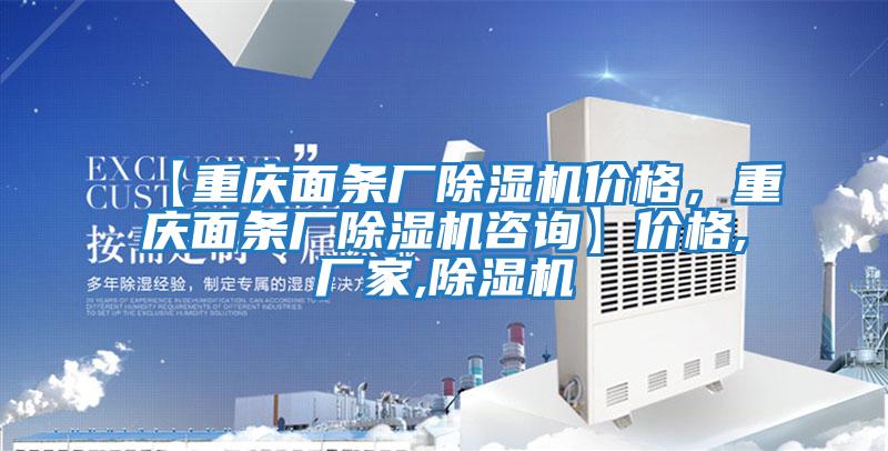 【重慶面條廠除濕機價格，重慶面條廠除濕機咨詢】價格,廠家,除濕機