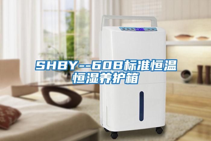 SHBY--60B標準恒溫恒濕養護箱