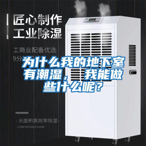 為什么我的地下室有潮濕， 我能做些什么呢？