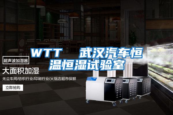 WTT 武漢汽車(chē)恒溫恒濕試驗(yàn)室