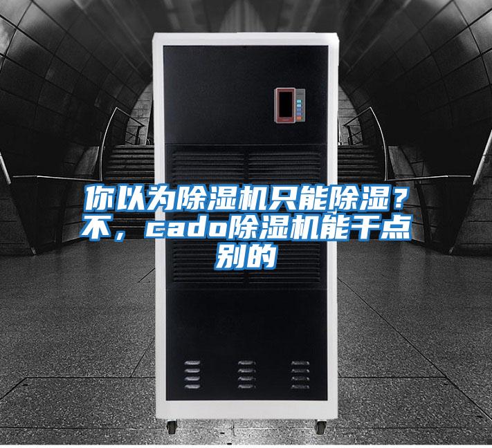 你以為除濕機只能除濕？不，cado除濕機能干點別的