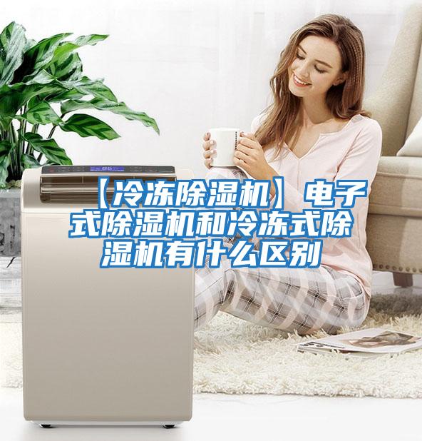 【冷凍除濕機】電子式除濕機和冷凍式除濕機有什么區別