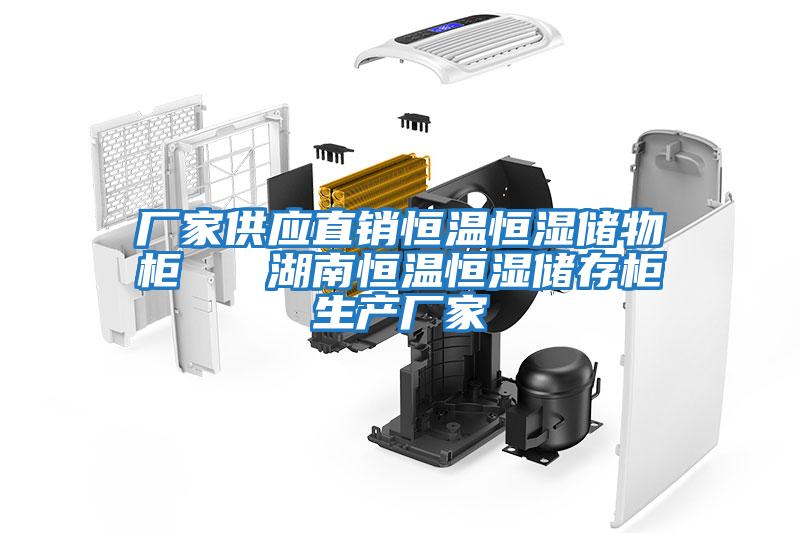 廠家供應直銷恒溫恒濕儲物柜 湖南恒溫恒濕儲存柜生產廠家