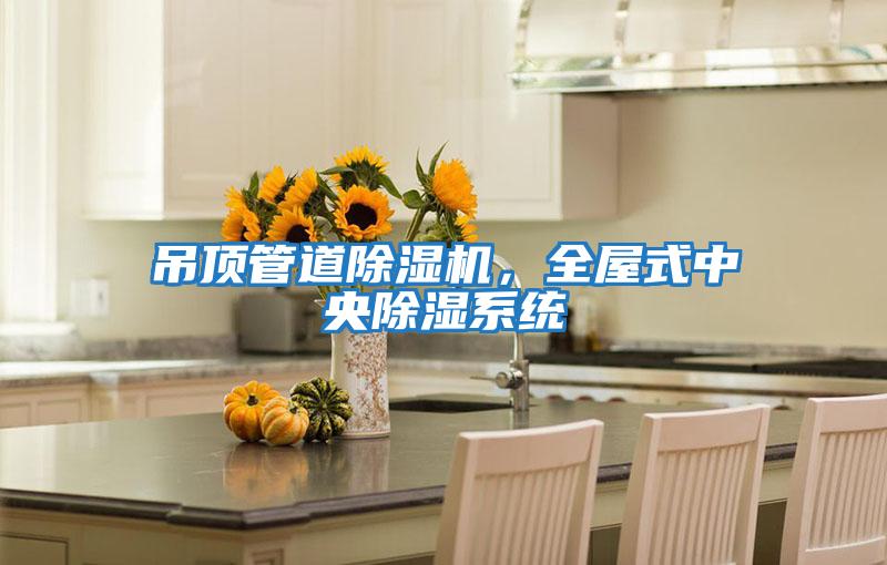 吊頂管道除濕機，全屋式中央除濕系統
