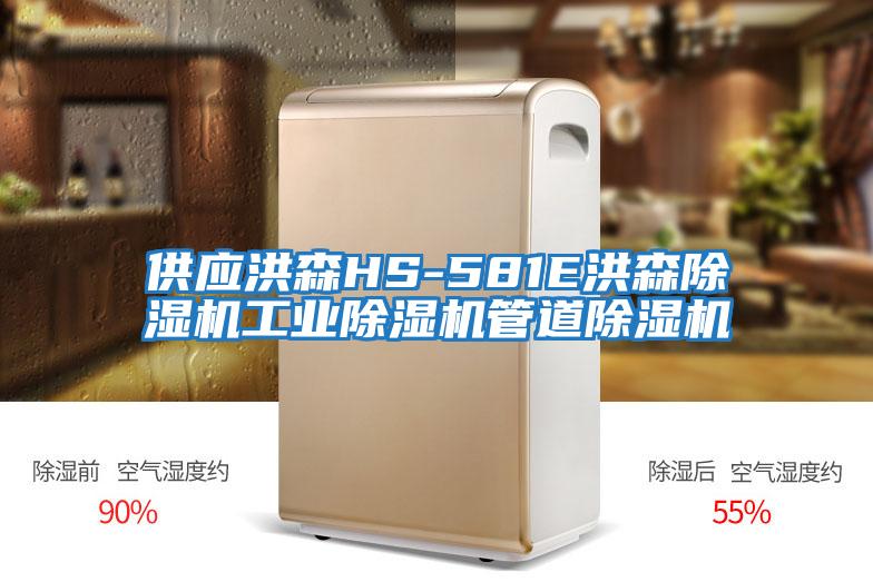 供應洪森HS-581E洪森除濕機工業(yè)除濕機管道除濕機