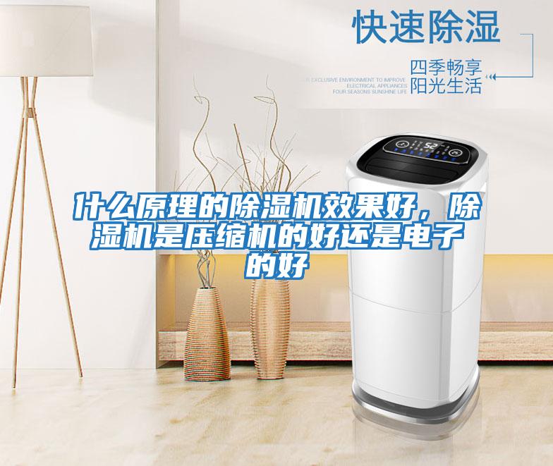 什么原理的除濕機效果好，除濕機是壓縮機的好還是電子的好