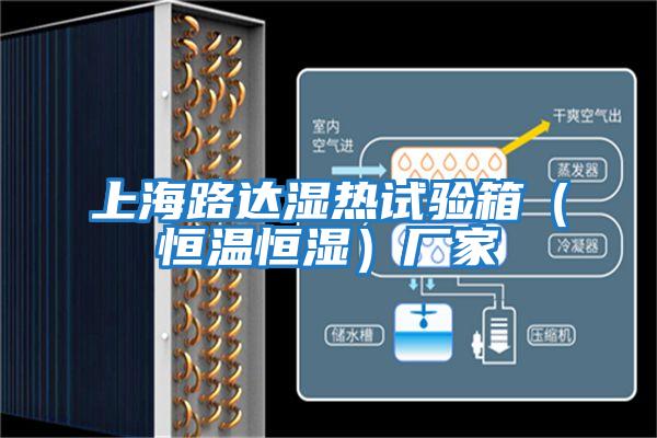 上海路達濕熱試驗箱(恒溫恒濕)廠家