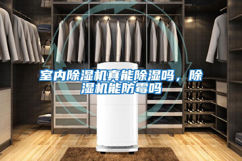 室內除濕機真能除濕嗎，除濕機能防霉嗎