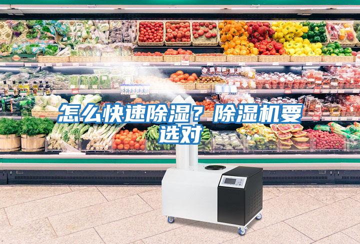 怎么快速除濕？除濕機要選對