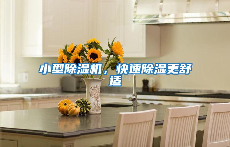 小型除濕機,快速除濕更舒適