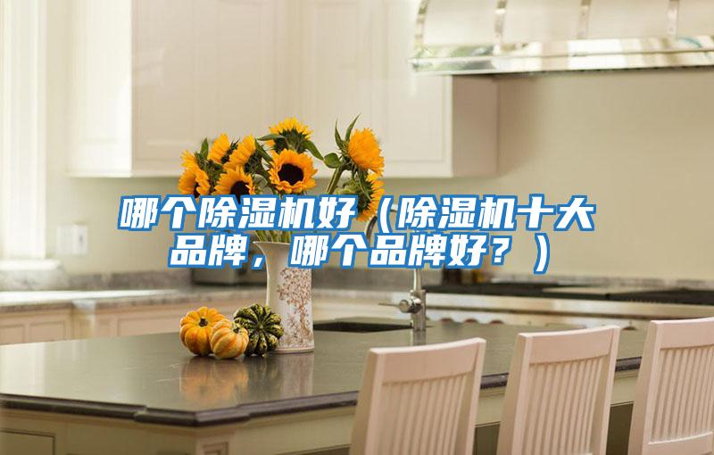 哪個除濕機好（除濕機十大品牌，哪個品牌好？）