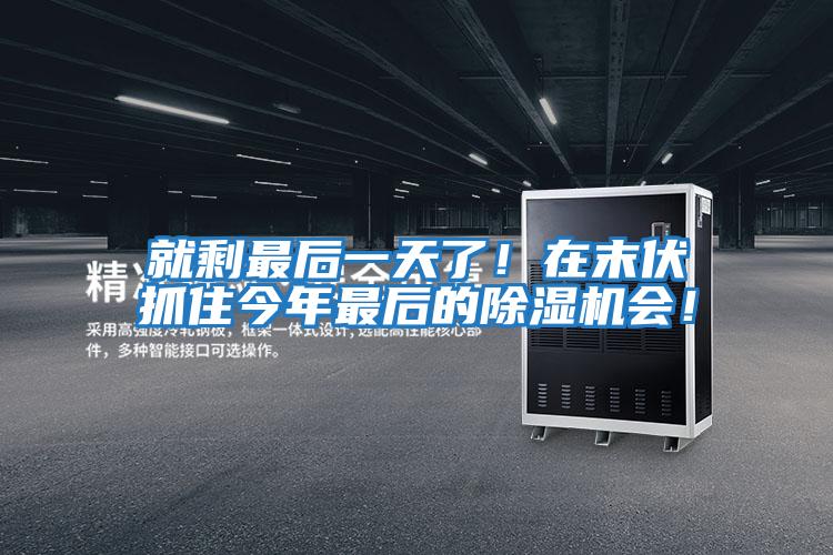 就剩最后一天了！在末伏抓住今年最后的除濕機會！