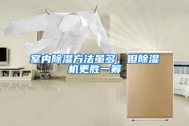 室內(nèi)除濕方法雖多,但除濕機(jī)更勝一籌