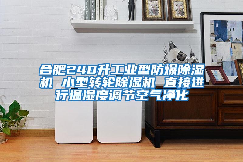 合肥240升工業型防爆除濕機 小型轉輪除濕機 直接進行溫濕度調節空氣凈化