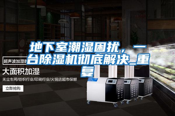 地下室潮濕困擾，一臺除濕機徹底解決_重復