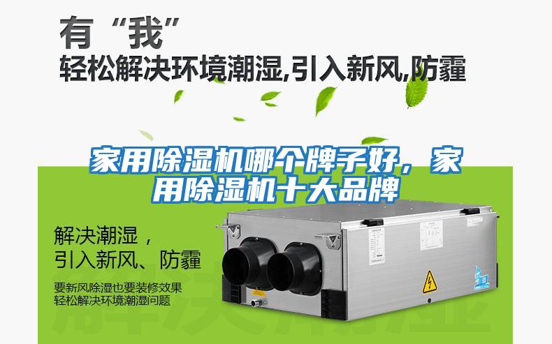 家用除濕機(jī)哪個牌子好，家用除濕機(jī)十大品牌