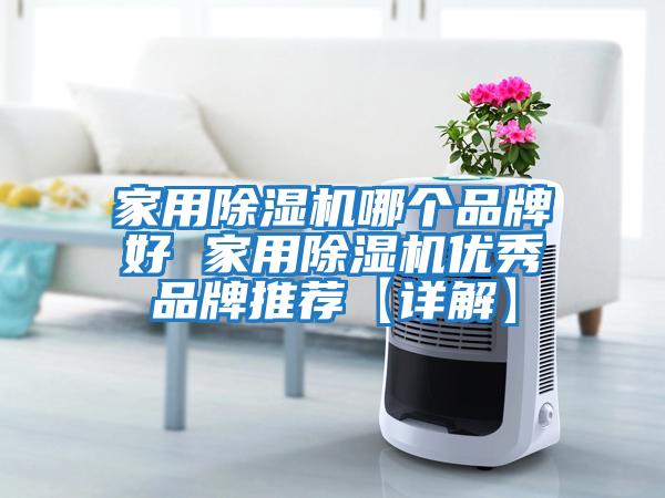 家用除濕機哪個品牌好 家用除濕機優秀品牌推薦【詳解】