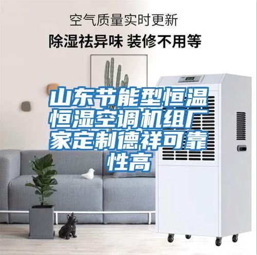 山東節能型恒溫恒濕空調機組廠家定制德祥可靠性高