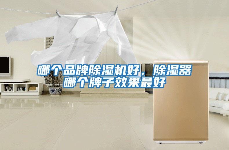 哪個品牌除濕機好，除濕器哪個牌子效果最好