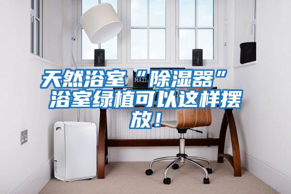 天然浴室“除濕器” 浴室綠植可以這樣擺放！