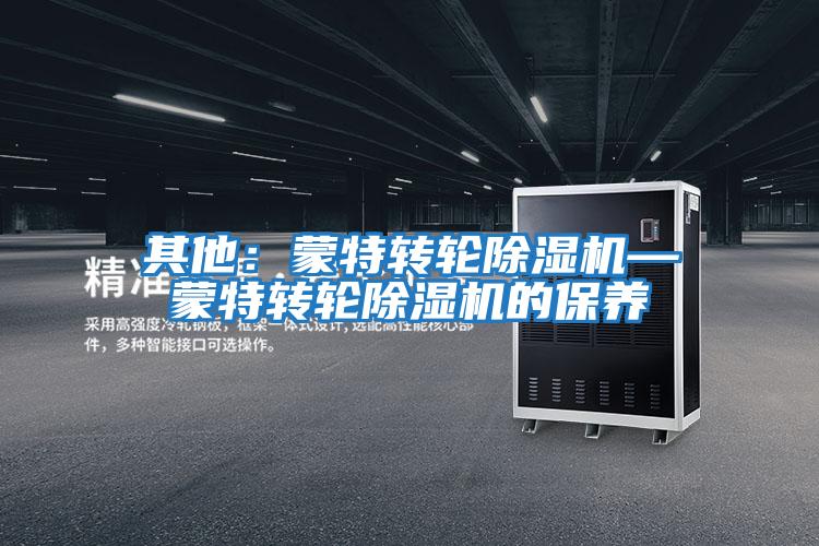 其他：蒙特轉輪除濕機—蒙特轉輪除濕機的保養