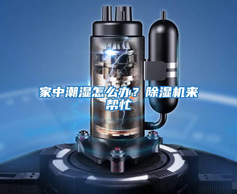 家中潮濕怎么辦？除濕機(jī)來幫忙