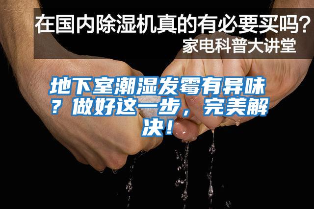 地下室潮濕發霉有異味？做好這一步，完美解決！