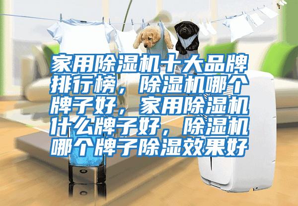 家用除濕機(jī)十大品牌排行榜，除濕機(jī)哪個(gè)牌子好，家用除濕機(jī)什么牌子好，除濕機(jī)哪個(gè)牌子除濕效果好