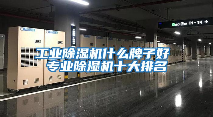工業(yè)除濕機什么牌子好 專業(yè)除濕機十大排名