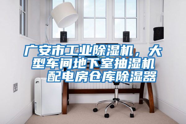 廣安市工業除濕機，大型車間地下室抽濕機  配電房倉庫除濕器