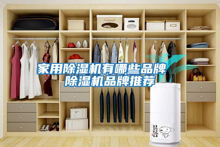 家用除濕機(jī)有哪些品牌 除濕機(jī)品牌推薦