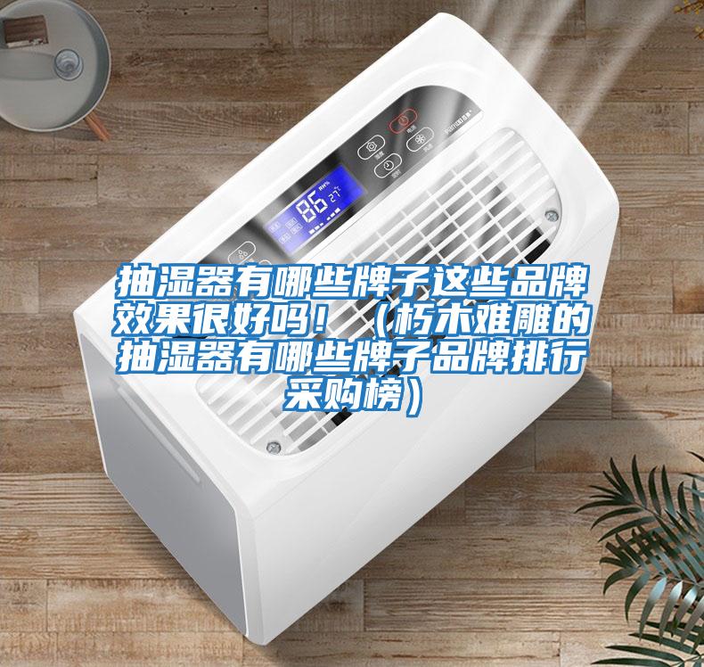 抽濕器有哪些牌子這些品牌效果很好嗎?。ㄐ嗄倦y雕的抽濕器有哪些牌子品牌排行采購榜）