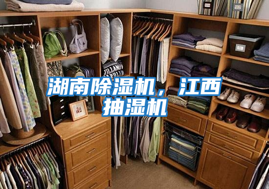 湖南除濕機，江西抽濕機