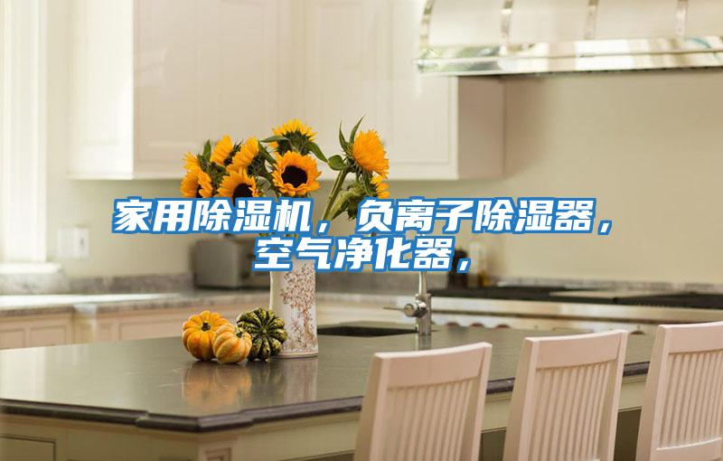 家用除濕機，負(fù)離子除濕器，空氣凈化器，