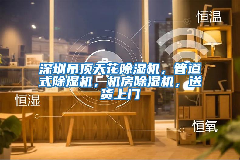 深圳吊頂天花除濕機(jī)，管道式除濕機(jī)，機(jī)房除濕機(jī)，送貨上門