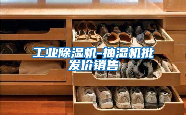 工業(yè)除濕機(jī)-抽濕機(jī)批發(fā)價(jià)銷售