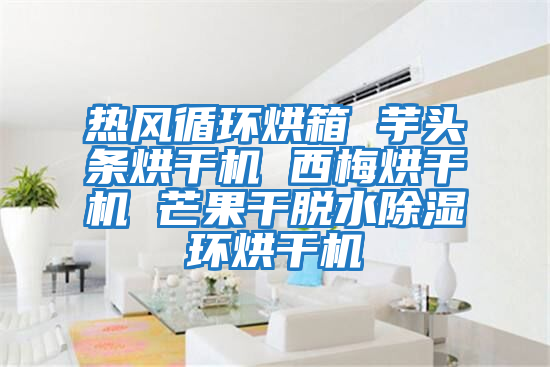 熱風循環烘箱 芋頭條烘干機 西梅烘干機 芒果干脫水除濕環烘干機