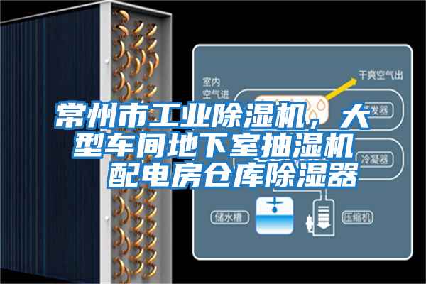 常州市工業除濕機，大型車間地下室抽濕機  配電房倉庫除濕器