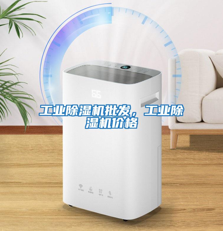 工業除濕機批發,工業除濕機價格