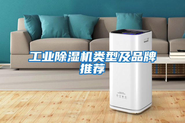 工業除濕機類型及品牌推薦