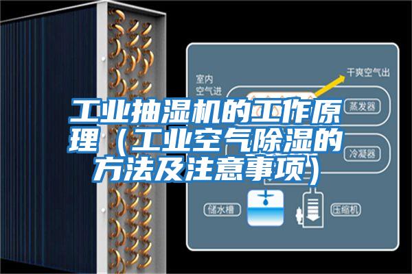 工業抽濕機的工作原理(工業空氣除濕的方法及注意事項)