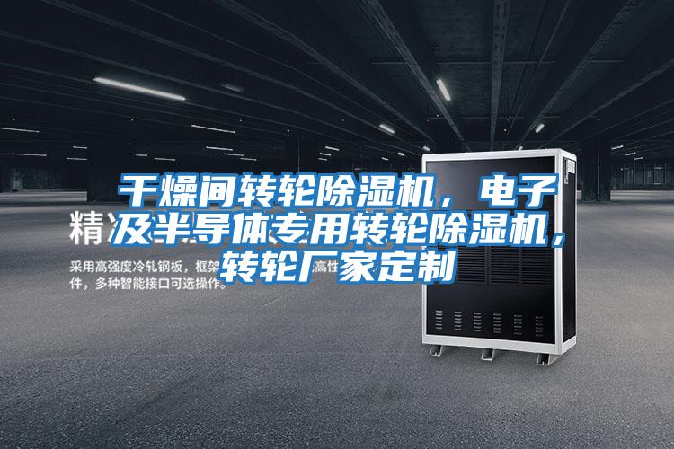 干燥間轉輪除濕機，電子及半導體專用轉輪除濕機，轉輪廠家定制