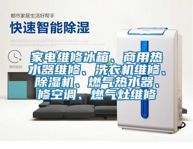 家電維修冰箱、商用熱水器維修、洗衣機維修、除濕機、燃氣熱水器、修空調(diào)、燃氣灶維修