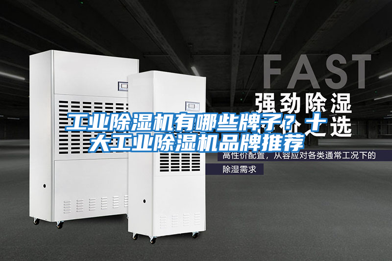 工業(yè)除濕機(jī)有哪些牌子?十大工業(yè)除濕機(jī)品牌推薦