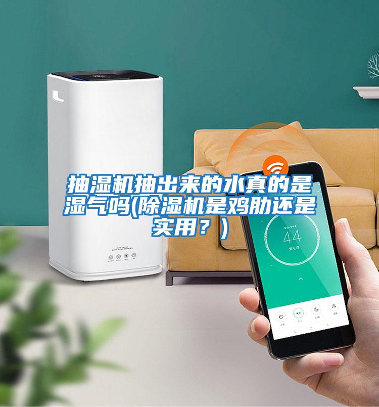 抽濕機抽出來的水真的是濕氣嗎(除濕機是雞肋還是實用?)