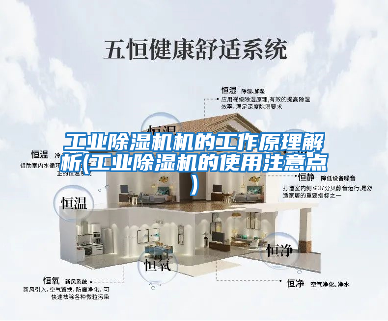 工業(yè)除濕機(jī)機(jī)的工作原理解析(工業(yè)除濕機(jī)的使用注意點(diǎn))