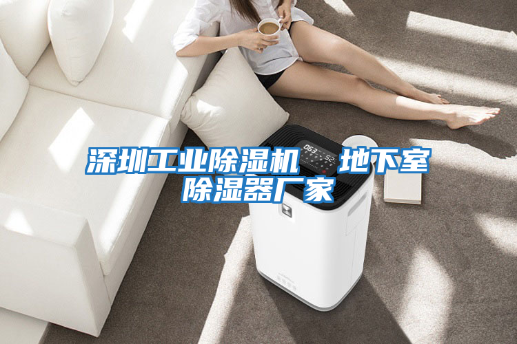 深圳工業除濕機 地下室除濕器廠家
