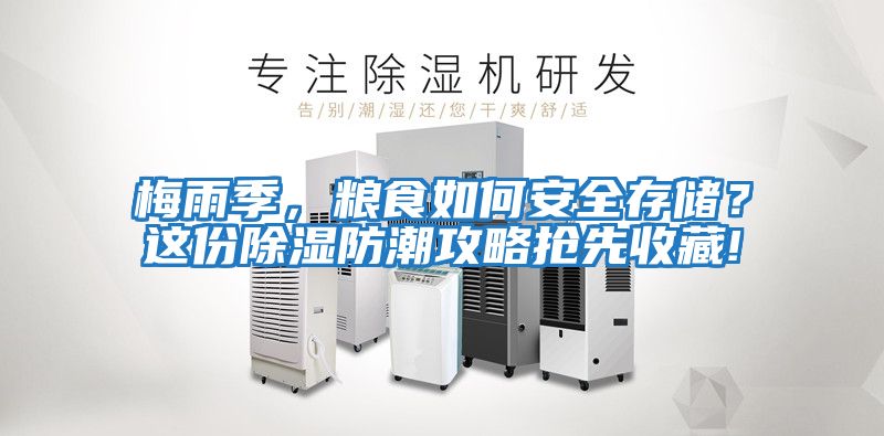 梅雨季,糧食如何安全存儲?這份除濕防潮攻略搶先收藏!