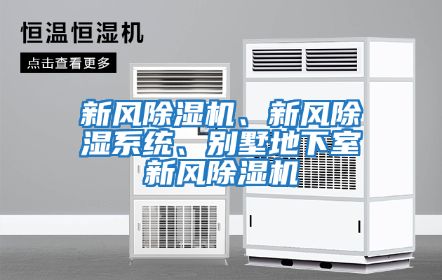 新風除濕機、新風除濕系統、別墅地下室新風除濕機