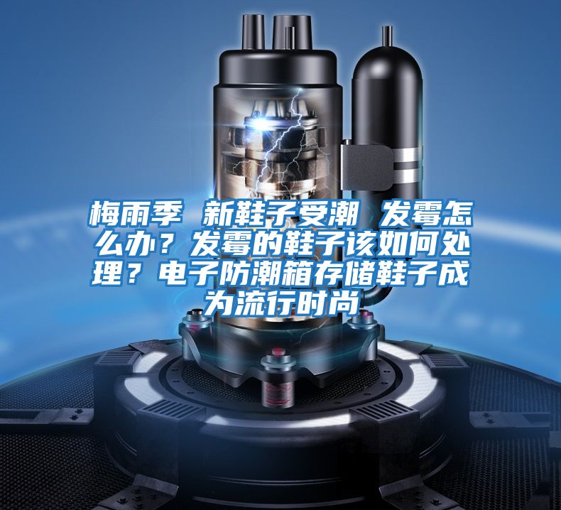 梅雨季 新鞋子受潮 發霉怎么辦?發霉的鞋子該如何處理?電子防潮箱存儲鞋子成為流行時尚